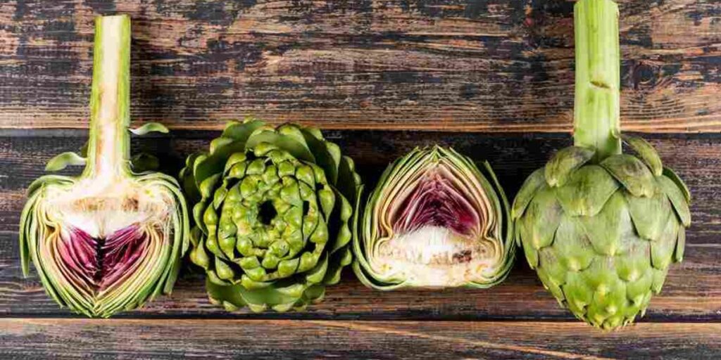 roman artichokes